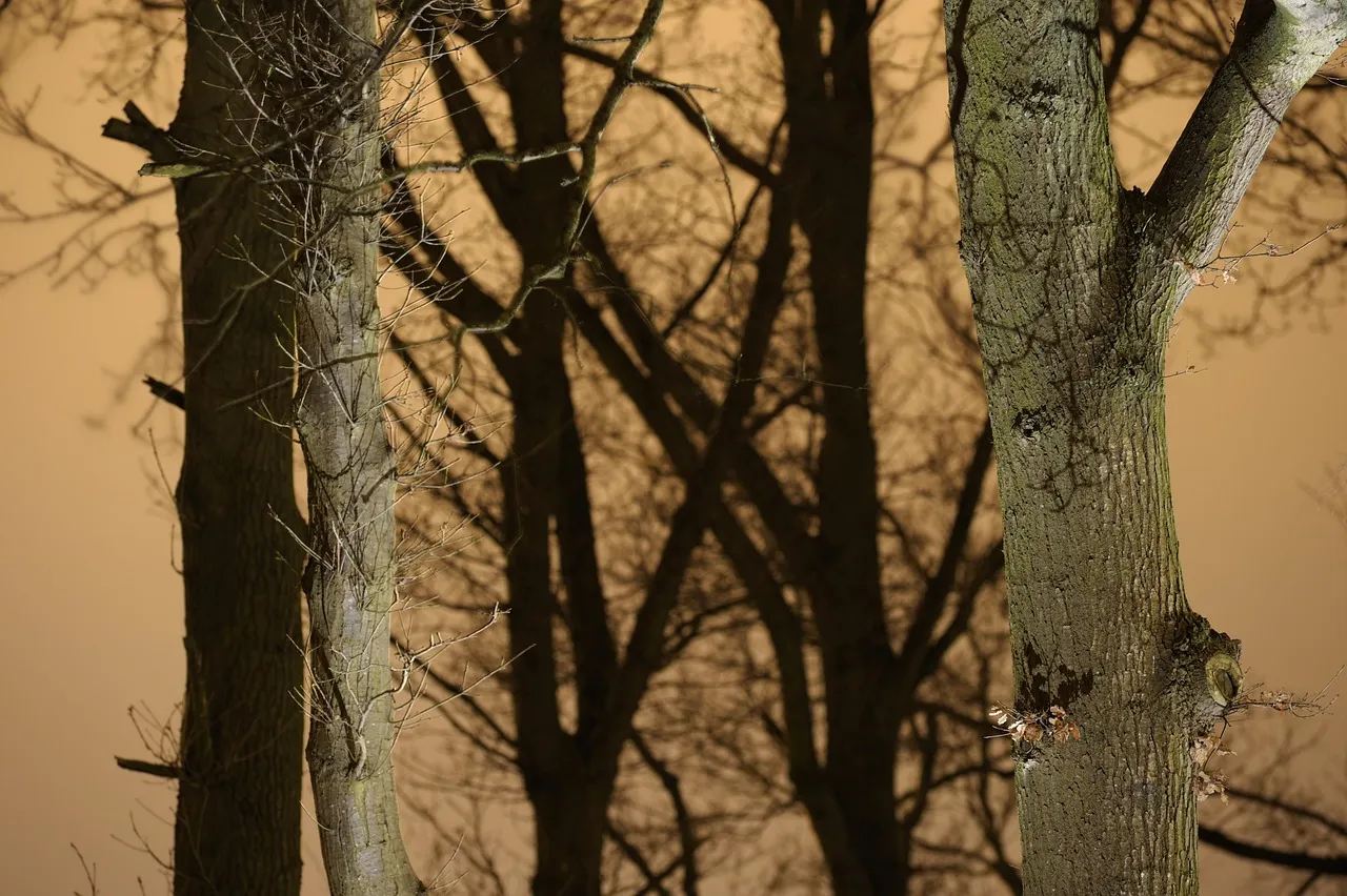 db-and-flash-performance-awr101